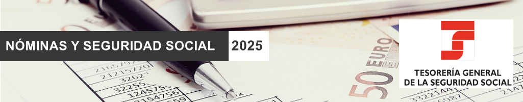 Nominas y Seguridad Social II 2025