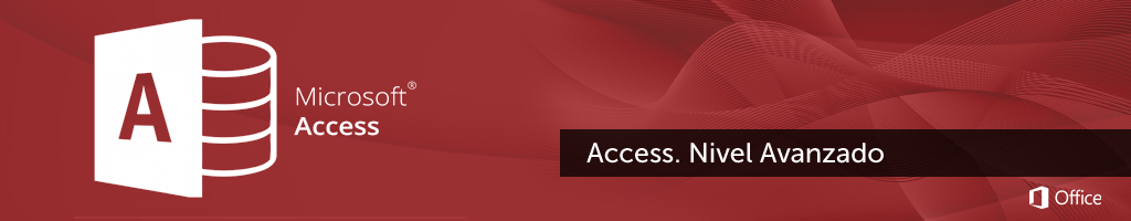 Access. Nivel avanzado.